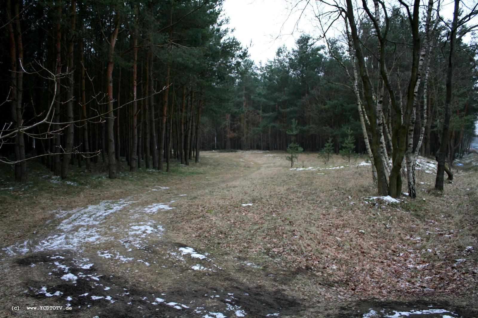 Strecke Stendal-Arneburg, 2011, N�he alte Trasse, Blick Richtung Stendal, Waldweg oder Trasse? 