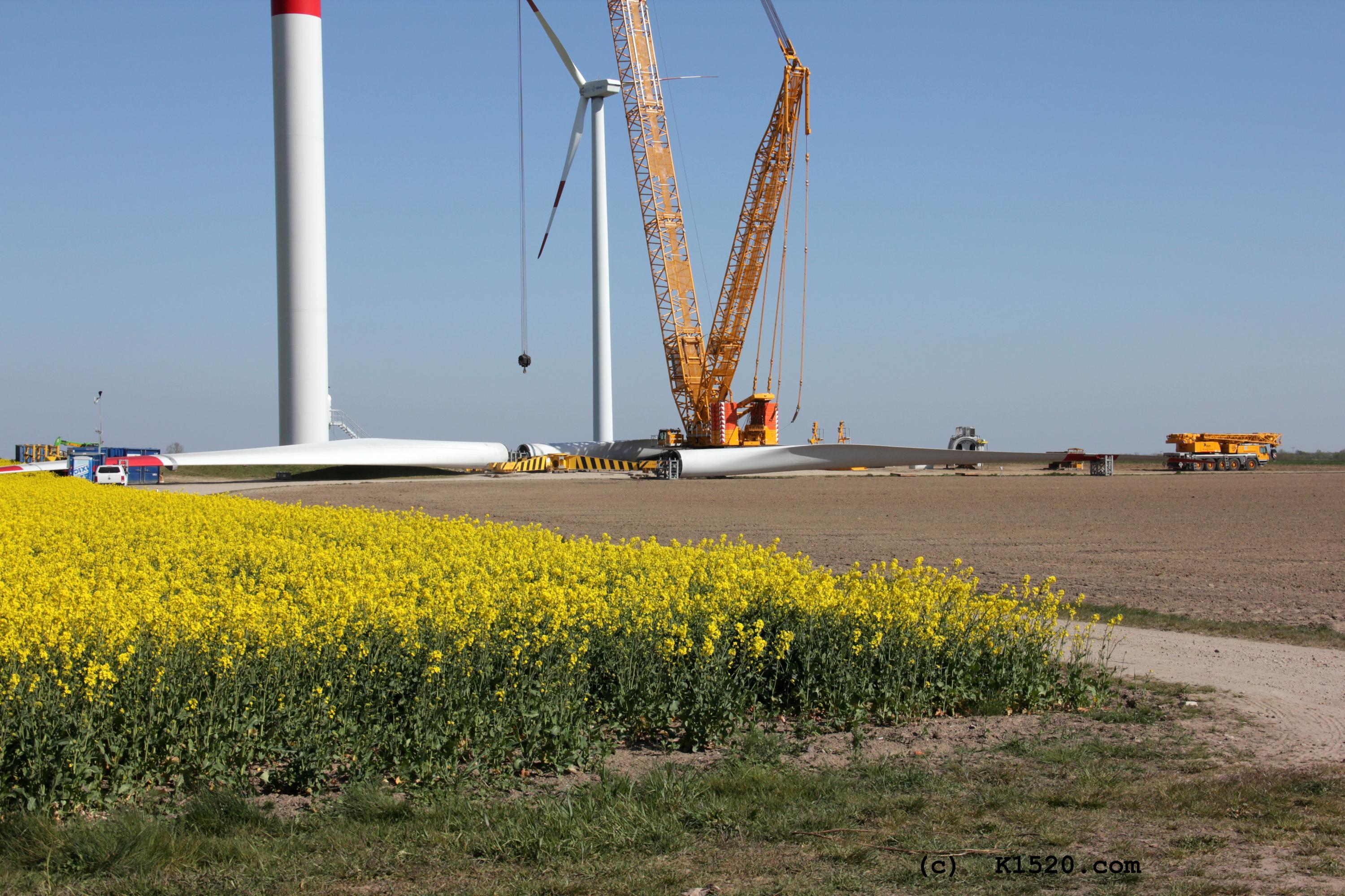 Reparatur Windrder im Windpark Arneburg/Elbe 04/2020,
  Kraneinsatz, Grenvergleich PKW und Kran